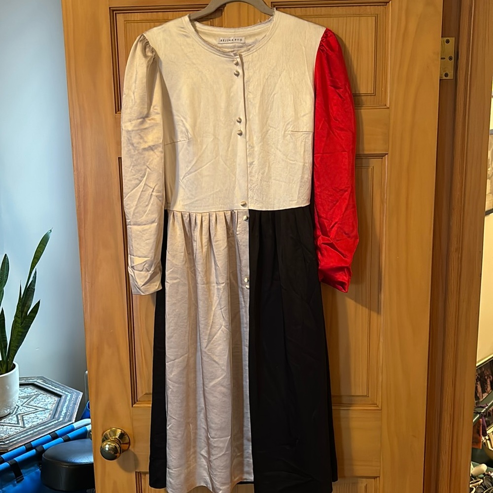 Rejina Pyo color block silk dress, never worn!